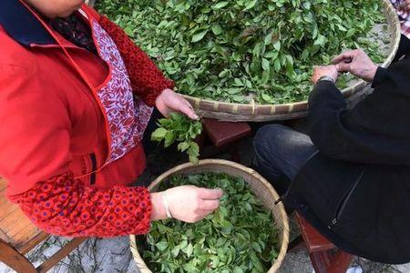 羞稔的意思