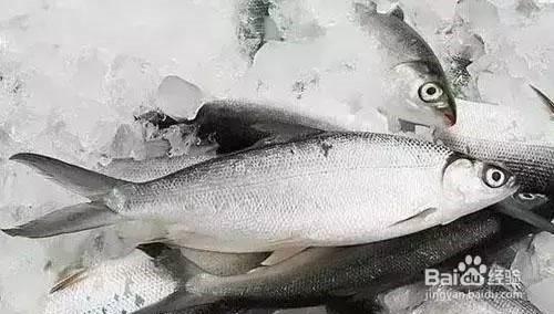 放生鱼怎么保存