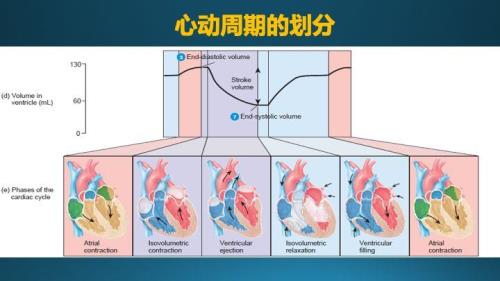 心室内压力最高的时期