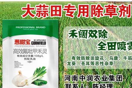 大蒜前期提苗要什么药