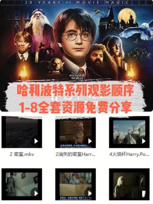 哈利波特的观看顺序是什么