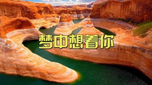梦里想着你歌曲原唱