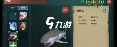 创造与魔法幼鲨鱼饲料多少保底