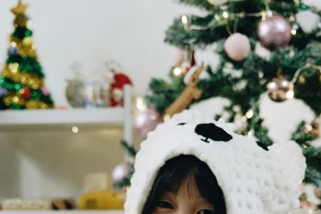西高地冬天怕冷吗