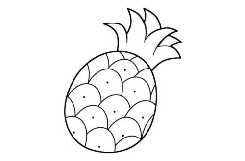 菠萝的笔画