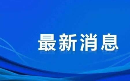 拟退是什么意思