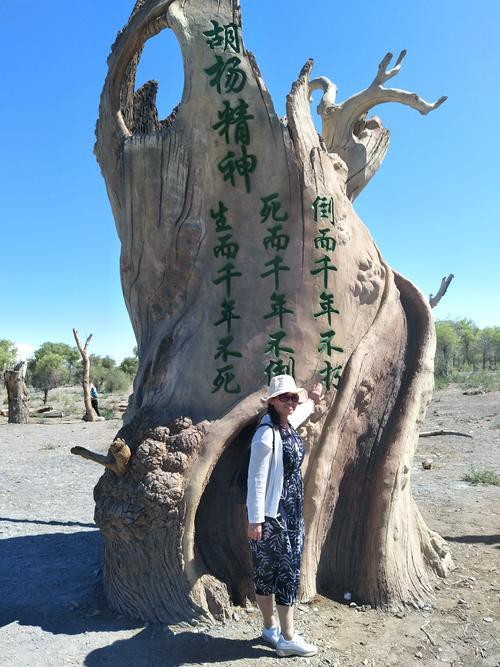 千年不倒的胡杨原文