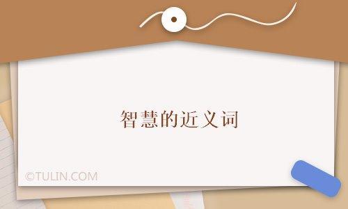什么的才智填合适的词