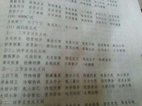 形容提的东西很多的四字词