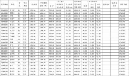 缴费属期是什么意思