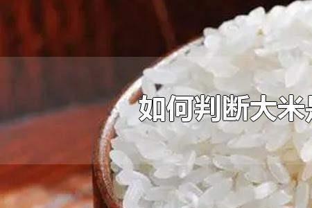 米发青是青霉菌吗