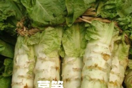 亚磷酸钾在莴笋上啥时候使用