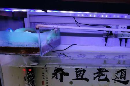 下过滤鱼缸加多少水才能循环水