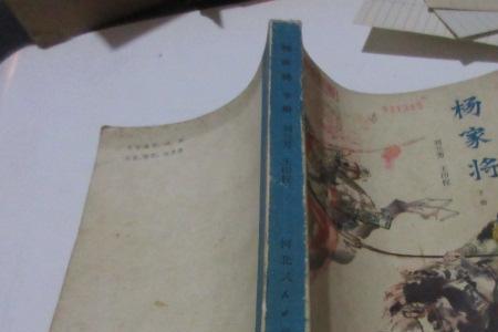 杨家将衣着描写