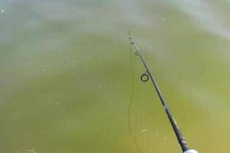 滑漂钓窝里还是窝外