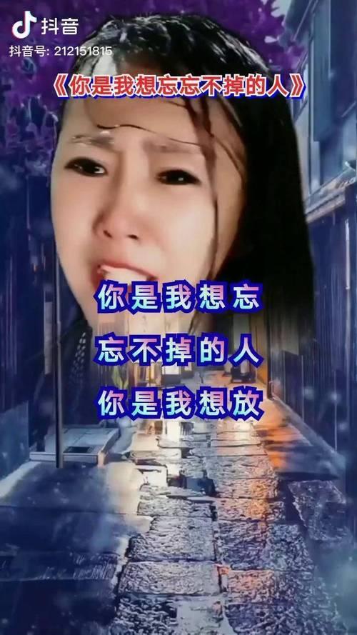 歌曲你是不是把我忘了完整版