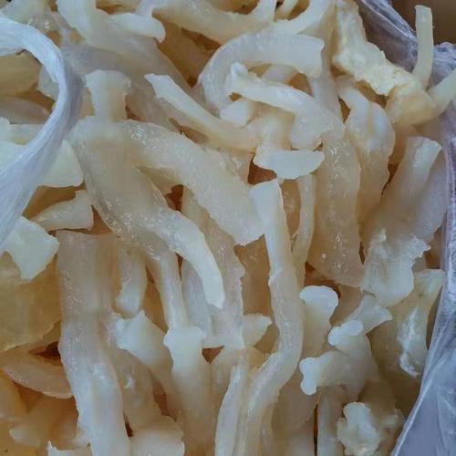 水发蹄筋能不能放冰箱冷冻