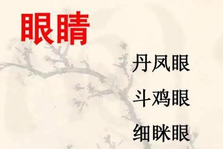 什么眼睛三年级填空