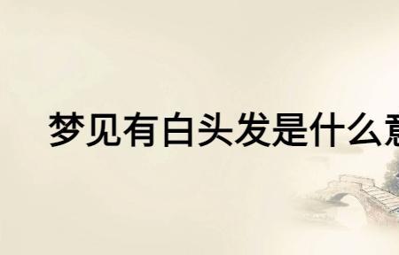 你头发白了什么意思
