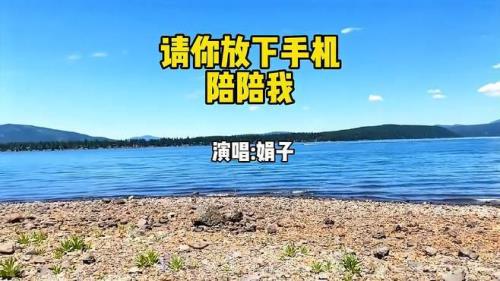 不能放下一个人的歌曲