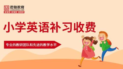辅导费是什么意思