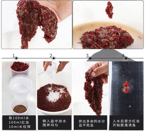水母粉和红虫伴侣一样吗