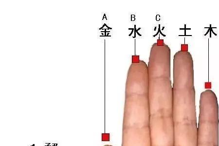天干地支手指速记法