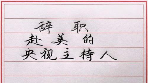 主持人的职务填什么
