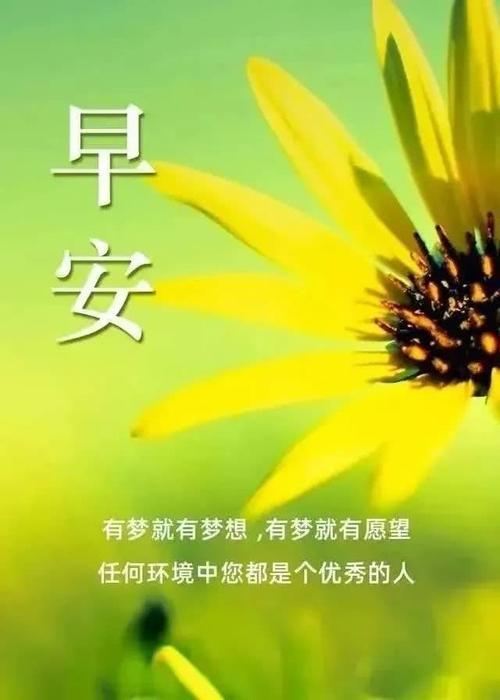 夫妻简短肉麻早安语