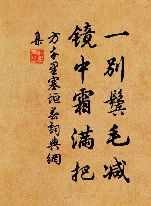 镜中女人很漂亮古诗句
