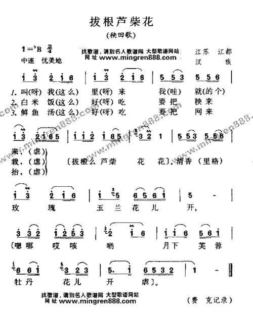 斑鸠调芦柴花是哪里的民歌