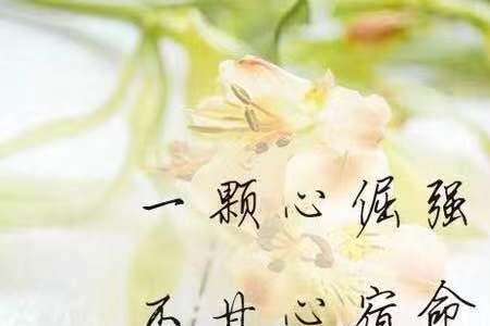 心恢意冷什么意思