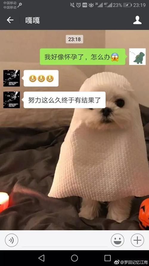耳朵怀孕怎么幽默回复