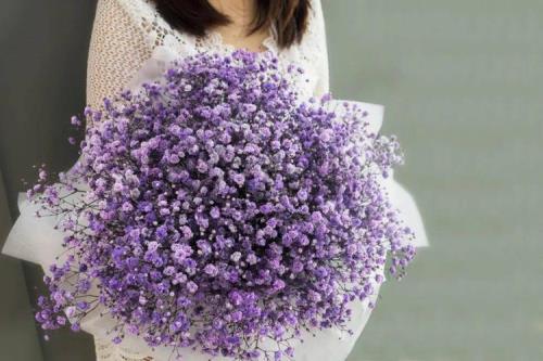 形容满天星品格个的成语