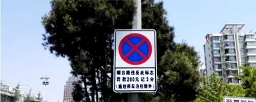 禁停标志牌前面还是后面禁停