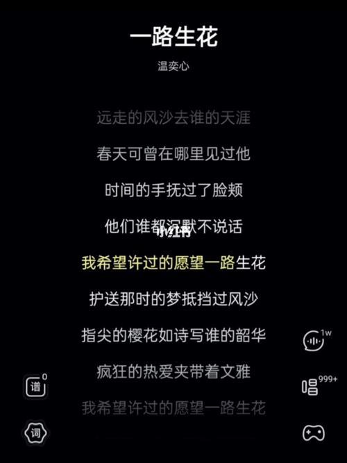 我的心啊一叶一花完整版歌词