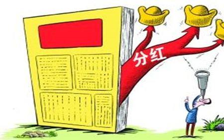 利息和分红有什么不同
