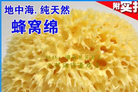合成海绵和天然海绵的区别