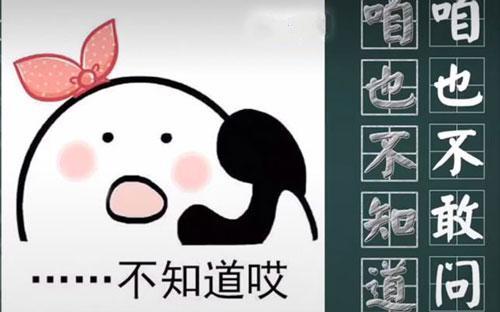 晓得是什么意思
