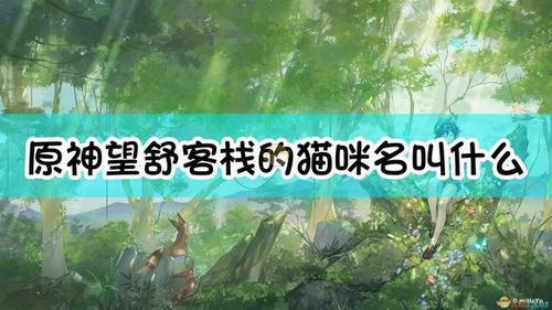 原神猫猫可以搭配的队伍
