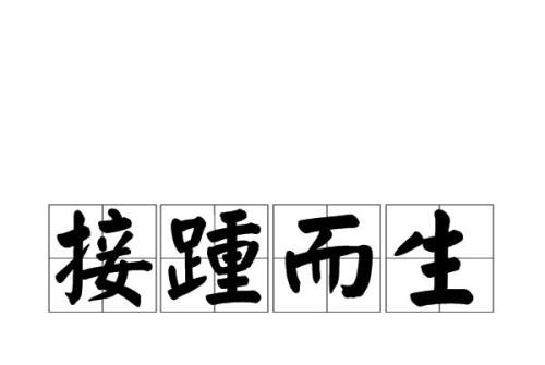 生的读音是什么