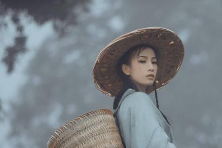 诸兼词什么意思