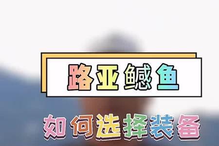 路亚标点选择