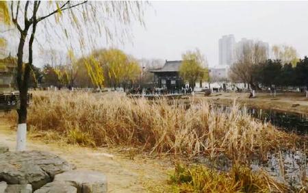 初冬沈阳周边游