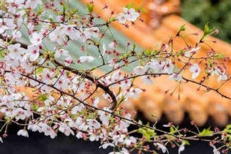 惊逢的意思
