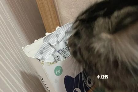为什么有的猫不爱吃化毛膏