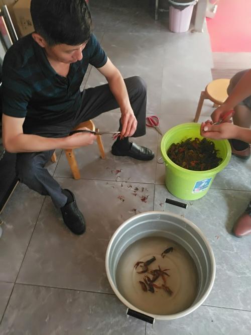 抓虾用几目