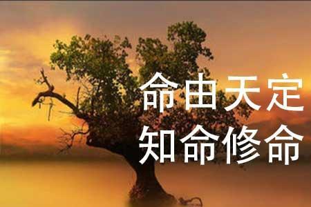 生死富贵由天定形容什么生肖
