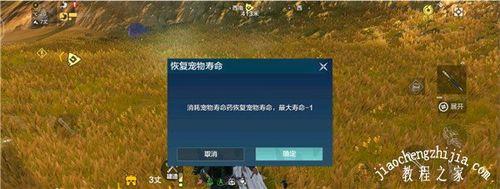灵兽丹怎么刷