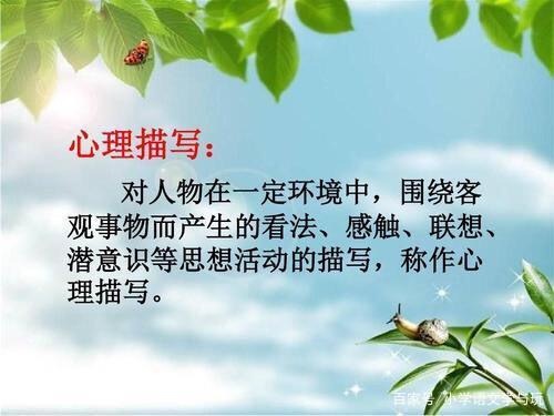 端详是外貌描写还是心理描写